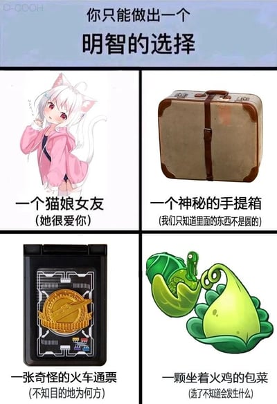 这是一张四格拼接的静态趣味抉择图，顶部配有引导文字“你只能做出一个明智的选择”，下方四个选项分别为：左上是一位穿着粉色连帽外套、有着白色猫耳和猫尾的猫娘，配文说明这是“一个猫娘女友（她很爱你）”；右上是一个带有棕色包角和绑带的复古手提箱，配文“一个神秘的手提箱（我们只知道里面的东西不是圆的）”；左下是一张带有金色徽章的黑色卡片式火车通票，配文“一张奇怪的火车通票（不知目的地为何方）”；右下是改编自游戏《植物大战僵尸》的形象，将卷心菜投手与火鸡投手结合，配文“一颗坐着火鸡的包菜（选了不知道会发生什么）”。整张图通过提供四个风格迥异、充满不同吸引力与未知性的选项，制造出趣味十足的抉择话题，引发观者的讨论与选择欲。