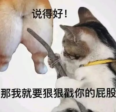 图片左侧是一只狗狗的臀部特写，右侧是一只戴着黄色项圈的猫咪正用嘴叼着一根小棍子，棍子尖端指向狗狗的屁股。狗狗臀部上方有文字“说得好！”，图片底部有文字“那我就要狠狠戳你的屁股”。整体通过动物的可爱动作与反差萌文字结合，营造出幽默搞笑的效果，属于轻松诙谐的表情包。