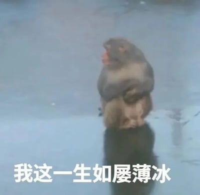 暂无描述