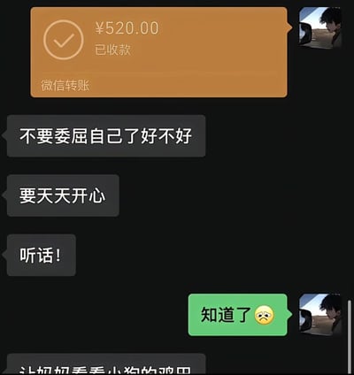 这是一张微信聊天记录截图，顶部显示橙色的微信转账通知，金额为¥520.00并标注“已收款”。下方是对话内容：对方发送灰色消息“不要委屈自己了好不好”“要天天开心”“听话!”，自己回复绿色消息“知道了 😢”。右侧可见双方的头像，其中一方头像是车内人物的侧脸照。整个对话传递出关心和安慰的情感。