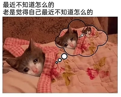 一张猫咪表情包，图中灰色猫咪裹在粉色花纹毯子里，头部露出，眼神迷茫。猫咪上方有一个思想泡泡，泡泡里是同样裹在毯子里的猫咪自己，而这个猫咪又有一个思想泡泡，形成递归效果。图片上方配有文字：'最近不知道怎么的老是觉得自己最近不知道怎么的'，通过文字和视觉的双重递归，幽默地表达了一种陷入循环困惑的心理状态。