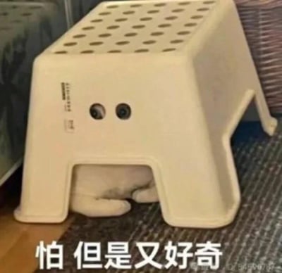 图片中一只小动物（疑似猫或狗）躲在白色塑料凳子下方，仅露出两只眼睛从凳子正面的孔洞中探出，爪子也从凳底边缘微微伸出。凳子顶部布满圆形孔洞，整体呈米白色。图片底部配有文字“怕但是又好奇”，生动描绘出小动物既胆怯又忍不住好奇的可爱状态，画面充满生活气息与萌感。