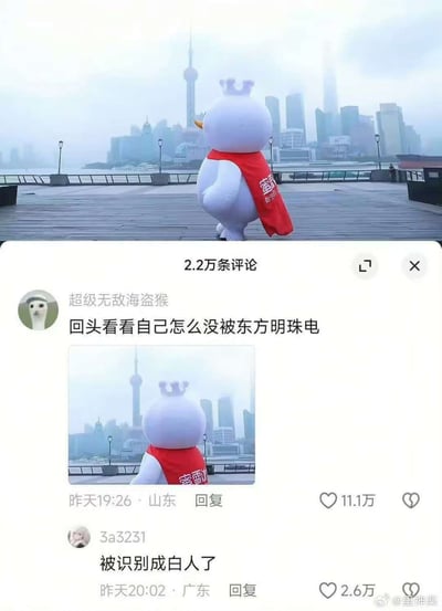 图片顶部是一只大白鸟吉祥物穿着红色披风背对镜头站在上海外滩，对着东方明珠望去。下方是社交平台的热评截图，评论戏称“回头看看自己怎么没被东方明珠电”，并配自图片，下一条评论回应“被识别成白人了”。整体有调侃东方明珠造型似“激光枪”会射击的网络梗。

谐音/双关说明：最后一句“被识别成白人了”利用‘白人’的谐音，呼应图中白色吉祥物角色，不涉及种族/敏感内容，仅作为趣味梗出现。