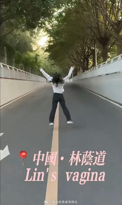 图中是一位女生背对着镜头站在林荫道的道路中线上，双腿分开、双臂高举，姿态舒展。画面下方配有文字“📍中國·林蔭道”，并被恶意谐音为英文“Lin's vagina”，利用“林蔭道”的发音制作低俗恶意调侃的谐音梗。图片底部带有微博用户@暴食症患者李舜生的水印。