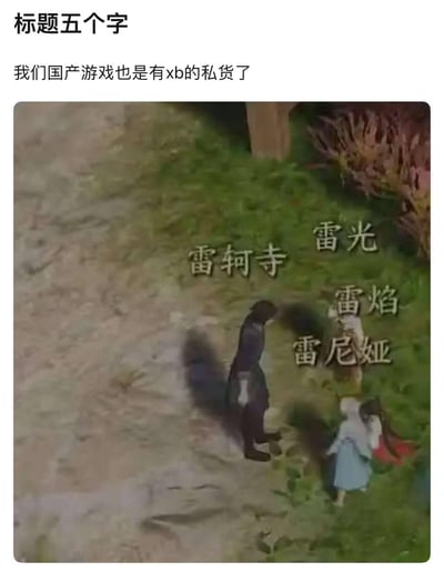 图片上方有文字“我们国产游戏也是有xb的私货了”，下方是一张游戏截图，展示了一个游戏场景，画面中有一个角色站在小路上，周围有“雷轲寺”“雷光”“雷焰”“雷尼娅”等文字标识。