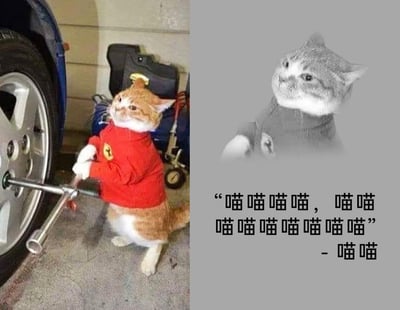 这是一张左右拼接的图文混排趣味梗图，左侧是一只橘白相间的猫咪，被P上带有法拉利标志的红色上衣，双爪握着轮胎扳手，模仿汽修工人的动作拧汽车轮胎的螺丝，场景设定在车库中，将猫咪拟人化，营造出认真工作的可爱反差感；右侧是一张灰白猫咪的黑白肖像图，下方模仿正式发言的格式，配上了全由“喵喵”组成的发言内容，署名同样为“喵喵”，用猫咪的叫声替代严肃的发言文字，进一步放大了搞笑幽默的效果，整体用可爱的猫咪形象和无厘头的文字，打造出轻松诙谐的氛围。