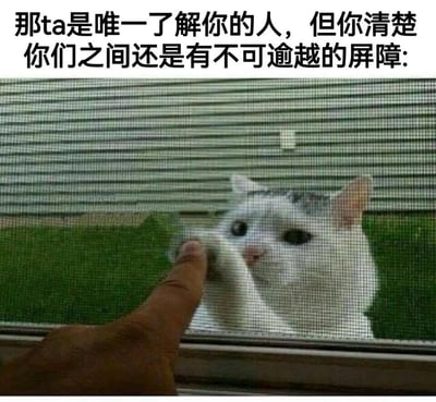 图片上方配有文字‘那ta是唯一了解你的人，但你清楚你们之间还是有不可逾越的屏障：’，下方是一张实拍照片：一只白色头部带灰斑的猫咪正用右前爪隔着一层绿色网状屏障（疑似纱窗），与屏障另一侧的人类食指相互触碰。猫咪眼神专注而略带忧郁，人类手指轻抵屏障，双方近在咫尺却无法真正接触，形象地呼应了文字中‘不可逾越的屏障’这一主题，营造出一种明明相互理解却受限于现实阻碍的无奈氛围。