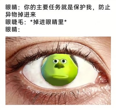 图片上方为三段拟人化对话文字：眼睛要求眼睫毛的主要任务是保护自己防止异物进入，眼睫毛却以'*掉进眼睛里*'回应，最后眼睛的台词留空。下方是一张人眼特写照片，瞳孔被替换成一个绿色圆形卡通表情，表情呈现出惊讶与困惑，生动展现了眼睛对眼睫毛'叛变'行为的反应。整体通过身体部位的人格化对话与图像结合，制造出幽默的戏剧冲突效果。