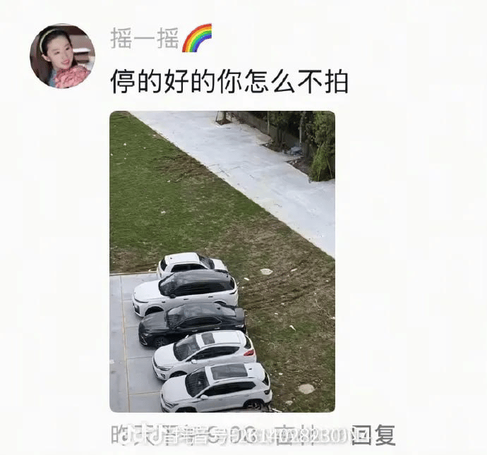 理想乱停车
