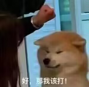 这是一张经过P图改编的文字加注表情包，画面中一只柴犬眉眼耷拉，表情委屈又无奈，呈现出被迫认错的神态，旁边有一个人的拳头抬起，做出要挥打的姿态，图片底部配有字幕“好，那我该打！”。通过拟人化的手法，将柴犬的表情赋予人类的情绪，生动表现出一种在指责下，虽然内心委屈但不得不妥协认错的心态，充满了搞笑和自嘲的氛围，适合在社交媒体中用来表达自己被迫认错、无奈接受的情绪。