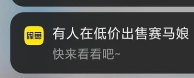 这是一张竖屏手机格式的闲鱼APP推送消息截图，属于工具软件的屏幕截图。图中是闲鱼的推送卡片，左侧是黄色背景的闲鱼logo，右侧上方文字为“有人在低价出售赛马娘”，下方配有引导文字“快来看看吧~”，是平台为用户推荐相关商品的常规运营推送，这里的“赛马娘”通常指游戏《赛马娘 Pretty Derby》相关的账号、周边等二手商品，图中内容无谐音梗、双关或暗示类内容。