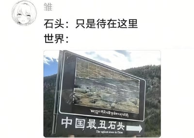 这是一张在社交平台传播的趣味梗图，上方为发布者的卡通头像及配文“石头：只是待在这里 世界：”，下方是户外景区的指示牌实拍内容：指示牌上展示了对应石头的图片，同时标注有藏文、中文“中国最丑石头”以及英文翻译“The ugliest stone in China”，箭头指向石头的所在位置。内容通过拟人化的表述，调侃石头本身没有做出任何行为，却被外界冠上“中国最丑”的名号，形成强烈的反差幽默感，容易引发大众对无厘头评价的共鸣。
