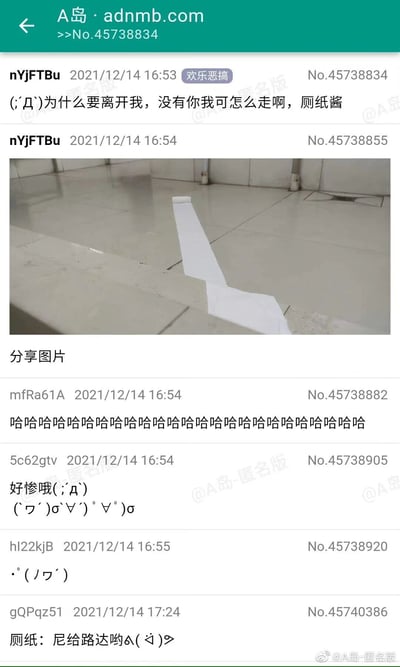 这是A岛匿名版的一则欢乐恶搞类帖子，发布于2021年12月14日。楼主nYjFTBu将卫生间地面上的厕纸拟人化为“厕纸酱”，用悲伤的语气吐槽“为什么要离开我，没有你我可怎么走啊”，并配上一张厕纸被摆成向前行走姿态的照片，仿佛厕纸正在“离家出走”。其他用户看到后纷纷互动回复，有发出一连串笑声的，有模仿楼主语气表示同情的，还有用户模仿厕纸的语气，用日语谐音梗回复“尼给路达哟”（意为“你不要过来啊”），整体内容通过拟人化的创意和论坛互动，充满恶搞趣味，制造出轻松搞笑的效果。