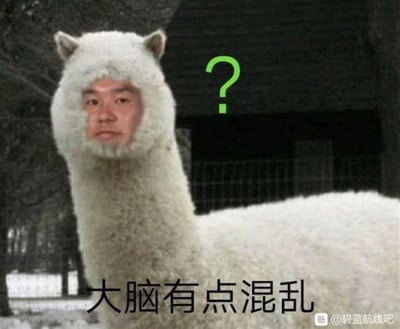 图片为一张P图改编的静态表情包，主体是一只白色羊驼，其头部被替换成人类面孔，表情略显呆滞。羊驼右侧有一个绿色的问号，底部配有文字“大脑有点混乱”，整体营造出一种困惑、不知所措的搞笑氛围。画面背景为模糊的深色建筑，突出主体的视觉冲击。