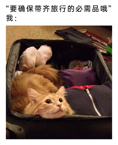 这是一张充满趣味的宠物梗图，上方配有两段文字：“要确保带齐旅行的必需品哦”和“我：”，下方是一只橘色长毛猫蜷缩在装满衣物的行李箱中，它睁着圆溜溜的大眼睛，表情无辜又乖巧，仿佛在表明自己就是主人旅行时不可或缺的“必需品”。这张图以幽默的方式展现了铲屎官对宠物的喜爱，将猫咪放在了旅行必备品的位置，传递出温馨又搞笑的氛围，引发养宠人士的共鸣。