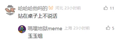 这是一张社交媒体平台评论区的截图，展示了两条用户发布的评论：第一条来自河北的用户“哈哈哈他妈的”，评论内容为“站在桌子上不说话”，该评论获得了11个点赞；第二条来自上海的用户“嗎嘍地獄meme”，评论内容为“玉玉组”，获得5个点赞。其中“玉玉组”是网络谐音梗，由“郁郁（抑郁）”谐音而来，指代存在抑郁情绪、心情低落的群体，第一条评论则以无厘头的行为描述来随性抒发情绪，整体呈现出网络用户日常的情绪表达与网络梗的使用场景。