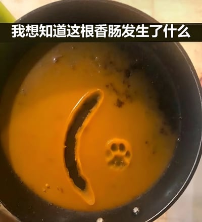 图片展示了一个黑色的锅，锅内装有橙色的液体（疑似汤或酱料）。锅中有一根香肠，其表面有一个不规则的弧形缺口，像是被啃咬过。液体表面还清晰地印着一个爪印形状，疑似宠物爪印。图片顶部有一行白色文字：“我想知道这根香肠发生了什么”，整体场景充满了疑惑和趣味性，暗示可能是宠物趁人不注意偷吃了香肠并留下了爪印。