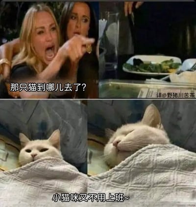 本图是网络热门梗图的改编版。上半部分使用了著名的“女人指责猫”表情包场景，本来是女性愤怒指责、猫带着委屈表情的对比，经过改编加上中文对话，问：“那只猫到哪儿去了？”下半部分则切画面到一只被子里安然休息的白猫，露出满意和幸福的表情，配上文字“小猫咪又不用上班~”，形成强烈的反差和幽默感。整体表达了对于猫无忧无虑、悠闲自在、不用工作的羡慕心情。图中没有出现双关或谐音梗，但有一定的现实共鸣和搞笑、可爱元素。