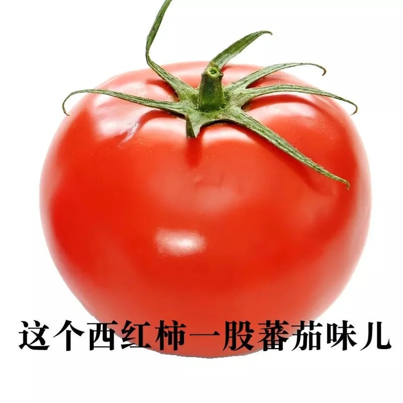 废话文学