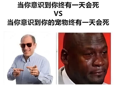 这是一张左右对比梗图，通过两张人物表情对比图展现人们面对不同死亡话题时的情绪差异。左侧是一位戴墨镜的男子，穿着浅蓝色衬衫，双手做出枪形手势并微笑着指向前方；右侧是一位男子的面部特写，背景为红色，他眼眶含泪，表情悲伤。上方文字分别为'当你意识到你终有一天会死亡'和'当你意识到你的宠物终有一天会死亡'，中间用'VS'连接，形成鲜明对比，幽默地表达了人们往往对宠物的离去比自己的死亡更为伤感的情感现象。