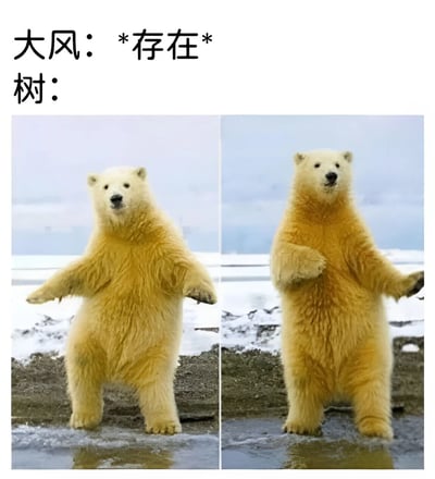 图片为左右对比的图文混排 meme，上方文字标注“大风：*存在* 树：”。左侧画面中，一只北极熊在雪地中站立，双臂自然张开，仿佛平静的“树”；右侧画面中，同一只北极熊双臂微曲，身体略微倾斜，姿态酷似被大风吹动的“树”。通过北极熊姿态的微妙变化，幽默类比了“大风存在时树的状态”，整体风格轻松搞笑，充满可爱气息。
