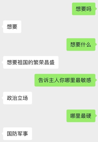 这是一张竖屏的聊天记录截图，以趣味问答的形式传递浓厚的爱国情怀。对话中，绿色气泡的提问方依次抛出“想要吗”“想要什么”“告诉主人你哪里最敏感”“哪里最硬”这类看似私密的问题，而白色气泡的回应方则巧妙地将问题引向家国主题，分别以“想要祖国的繁荣昌盛”“政治立场”“国防军事”作答，用反差感的对话形式，既制造了幽默效果，又正向传递了对国家发展、政治立场和国防力量的重视，内容积极正能量。