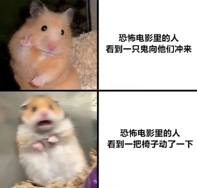 图片为2x2的四格拼接图，左上是一只站立的仓鼠，前爪抬起，表情平静；右上文字为“恐怖电影里的人看到一只鬼向他们冲来”。左下是同一只仓鼠，嘴巴大张，表情惊恐；右下文字为“恐怖电影里的人看到一把椅子动了一下”。通过仓鼠不同的表情对比，幽默地调侃了恐怖电影中人物面对明显危险（鬼魂冲来）时反应平淡，而面对轻微异常（椅子动）时却极度惊恐的常见套路。