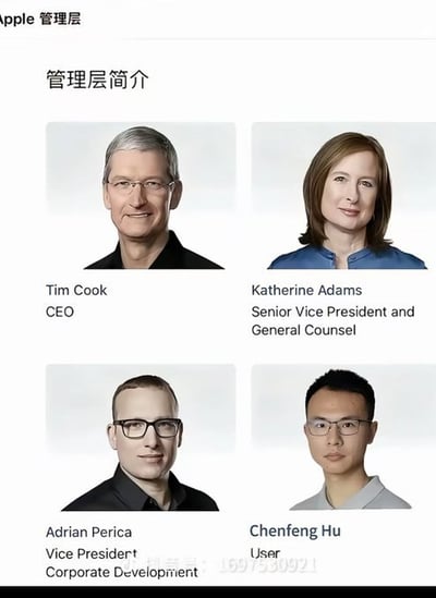 图片内容为“Apple管理层简介”页面，展示了四位人物的照片及职位信息。左上角为Tim Cook，标注“CEO”；右上角为Katherine Adams，标注“Senior Vice President and General Counsel”；左下角为Adrian Perica，标注“Vice President Corporate Development”；右下角为Chenfeng Hu，标注“User”。其中Chenfeng Hu的“User”职位与其他正式管理层职位形成鲜明反差，疑似经过二次编辑的幽默调侃内容。
