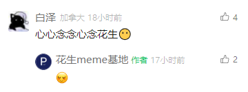 这是一张社交媒体平台的评论区截图，用户“白泽”标注所在地为加拿大，在18小时前发布评论“心心念念心念花生😕”，该评论收获4个点赞；内容创作者“花生meme基地”在17小时前回复了一个委屈的🥺表情，该回复收获2个点赞，整体呈现了普通用户与meme内容创作者之间的简短互动，传递出用户对“花生”相关meme内容的想念情绪。