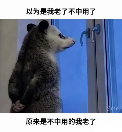 这是一张经过PS改编的自嘲类表情包，采用上下配文中间插图的结构，上方配文为“以为是我老了不中用了”，中间主体是经过合成的负鼠形象：负鼠直立站在窗边望向窗外，手部被替换成人类的手且背在身后，神态落寞好似在黯然思考；下方配文为“原来是不中用的我老了”，通过调换语序的文字游戏，自嘲本身能力不足，随着年龄增长这份“不中用”的属性更加凸显，充满无奈的丧感，很容易引发当代年轻人对生活、工作压力及年龄焦虑的共鸣。