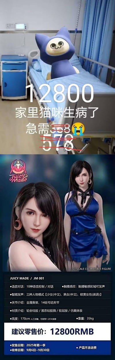 这是一张上下拼接的搞笑玩梗图，上半部分是被P在医院病床上的蓝色卡通猫咪，配文标注“12800 家里猫咪生病了 急需578（原数字被划改）”；下半部分是JUICY MADE品牌出品的1/1比例硅胶人偶JM 001的产品宣传图，该人偶的建议零售价恰好为12800元。图中通过将“给生病猫咪凑钱”的求助话术和高价人偶的价格对应，制造出“所谓凑钱其实是想买人偶”的反差笑点，戏谑感拉满。