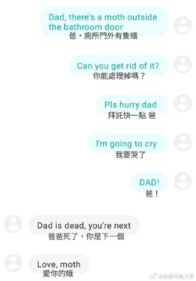 这是一张聊天记录截图，内容为困在厕所内的孩子连续给父亲发消息，告知父亲厕所门外有一只蛾子，请求父亲尽快帮忙处理，情绪急切到表示自己快要哭了，反复呼唤父亲。但后续收到的回复却并非来自父亲，而是以蛾子的口吻称“爸爸死了，你是下一个”，落款为“爱你的蛾”，用拟人化的夸张设定制造出强烈的反差幽默感，笑点十足。