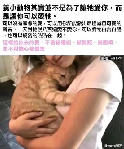 这是一张图文结合的治愈系内容图，上方配有一段关于养宠物的深度感悟文字，核心观点为养小动物的意义并非索取它们的爱，而是为了让自己能够毫无顾虑地付出爱意——可以用最放松、最可爱的状态和宠物互动，反复表达喜爱、自言自语或是亲密贴贴，这种纯粹的付出不会被权衡利弊、不会遭受质疑与厌烦，更不用担心受到伤害。下方是一张实拍照片，一位身着白色短袖的人正温柔地环抱着一只橘色猫咪，猫咪闭着双眼，神态温顺放松地依偎在人的怀中，画面充满了安心与温暖，与上方的文字内容完美呼应，精准传递出和宠物相处时能卸下所有防备的治愈感，极易引发养宠人群的情感共鸣。
