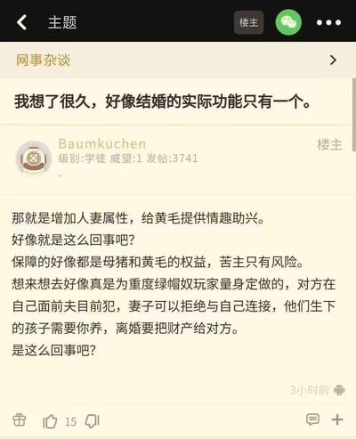 这是一张论坛社区帖子的截图，来自板块「网事杂谈」，楼主ID为Baumkuchen。楼主提出了一个充满负面情绪与戏谑玩梗的极端观点：认为结婚的实际功能仅仅是增加人妻属性，给所谓「黄毛」提供情趣助兴；还吐槽婚姻保障的是他人权益，苦主只有风险，将婚姻描述为针对「绿帽奴」的设定，充满对婚姻的消极吐槽，使用了「黄毛」「苦主」「绿帽奴」等网络亚文化梗。