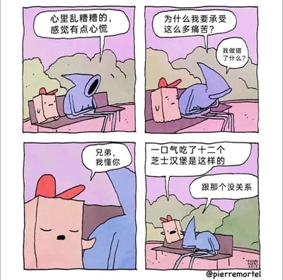 四格连环漫画，粉色方盒角色（戴红帽）和蓝色锥形角色坐在长椅上。蓝色角色先表达内心慌乱和痛苦：“心里乱糟糟的，感觉有点心慌”“为什么我要承受这么多痛苦？我做错了什么？”，粉色角色试图安慰说“兄弟我懂你”，随后蓝色角色解释“一口气吃了十二个芝士汉堡是这样的”，粉色角色无奈回应“跟那个没关系”。通过朋友间对焦虑原因的误解制造幽默效果。