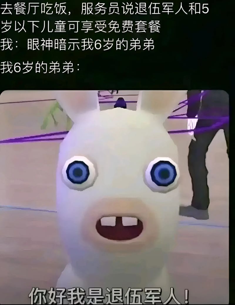 雷曼：疯狂兔子
