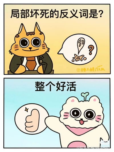 这是一幅上下分栏的卡通搞笑漫画，上栏背景为暖黄色，一只穿着西装领带的橘色卡通猫面带微笑，提出问题“局部坏死的反义词是？”，旁边的对话气泡里画着疑似局部坏死的组织图案并带有问号；下栏背景为浅蓝色，一只头顶长着小芽的白色卡通猫露出开心兴奋的表情，竖起大拇指给出答案“整个好活”，利用词语的反义对应和谐音玩梗，“局部”对应“整个”，“坏死”对应“好活”，制造出荒诞搞笑的效果。