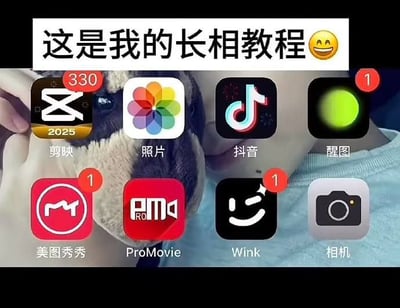 这是一张网络搞笑梗图，顶部配有文字“这是我的长相教程😊”，下方整齐排列了8个手机端应用图标，从上到下从左到右依次为带330条未读标记的剪映、照片、抖音、带1条未读标记的醒图、带1条未读标记的美图秀秀、ProMovie、带1条未读标记的Wink、相机，这些应用均为常用的拍摄、修图、剪辑类软件；图片背景是半透明的真人抱着宠物犬的画面，整体用调侃的方式表达自己对外展示的“长相”实际是经过多款修图、剪辑软件加工后的效果，调侃了当代人发布个人照片前需要经过多重修图处理的普遍生活现象。