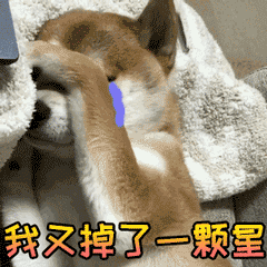 柴犬哭哭掉星星表情包