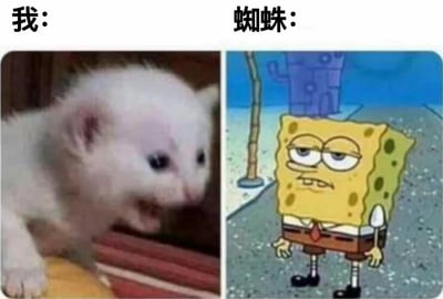 这是一张左右对比的梗图，左侧上方标注“我：”，下方是一只白色小猫，它嘴巴微张，眼神带着惊恐，身体紧绷，看起来非常害怕；右侧上方标注“蜘蛛：”，下方是卡通角色海绵宝宝，他表情淡定，双手自然下垂，站在海底场景中，显得十分从容。图片通过小猫的惊恐和海绵宝宝的淡定形成鲜明反差，幽默地表现出人类遇到蜘蛛时的恐惧与蜘蛛可能的“淡定”态度之间的对比。