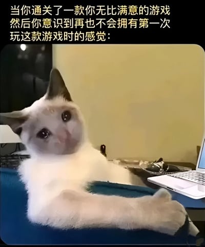 图片上方有黄色文字：'当你通关了一款你无比满意的游戏然后你意识到再也不会拥有第一次玩这款游戏时的感觉：'。图片主体是一只暹罗猫趴在蓝色桌面上，前爪向前伸展，眼神中带着明显的悲伤和失落感，旁边放着一台打开的笔记本电脑。这张图通过猫的悲伤表情形象地表达了玩家通关心仪游戏后，因无法再次体验初次游玩的新鲜感而产生的失落情绪。