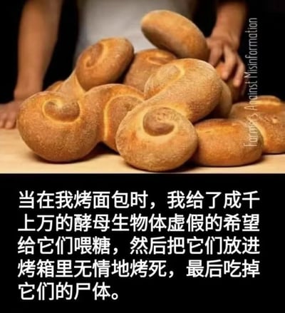 图片上半部分展示了一堆金黄色的螺旋状面包，面包旁边有一双手正在整理这些面包。下半部分是一段幽默文字，从酵母的视角调侃了烤面包的过程：“当在我烤面包时，我给了成千上万的酵母生物体虚假的希望给它们喂糖，然后把它们放进烤箱里无情地烤死，最后吃掉它们的尸体。” 这种拟人化的描述用黑色幽默的方式呈现了烘焙过程。