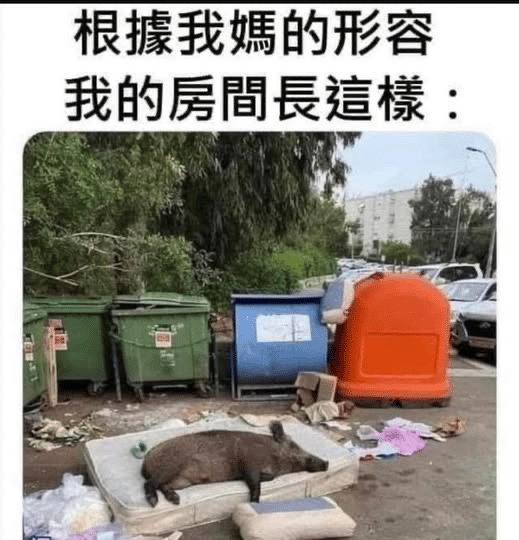 野猪