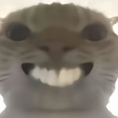 这是一张经过横向拉伸变形处理的仓鼠表情包，仓鼠的脸部被拉得格外宽，眼睛圆睁，嘴巴大张露出牙齿，整体神态极度夸张错愕，传递出强烈的震惊、不敢置信的情绪，模糊的画质进一步强化了搞怪诙谐的效果，常被用于社交聊天中表达看到意外信息时的震撼反应。