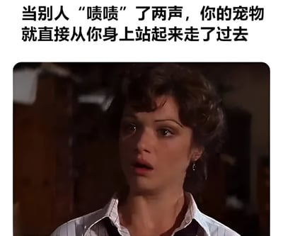 这张梗图上方配有文字“当别人‘啧啧’了两声，你的宠物就直接从你身上站起来走了过去”，下方是一张影视截图，图中一位卷发女性表情惊讶地看着前方，眼神中带着一丝不敢相信。图片通过幽默的方式描绘了宠物听到“啧啧”声（通常用于吸引动物的声音）后立刻离开主人身边的常见场景，引发养宠人士的共鸣。