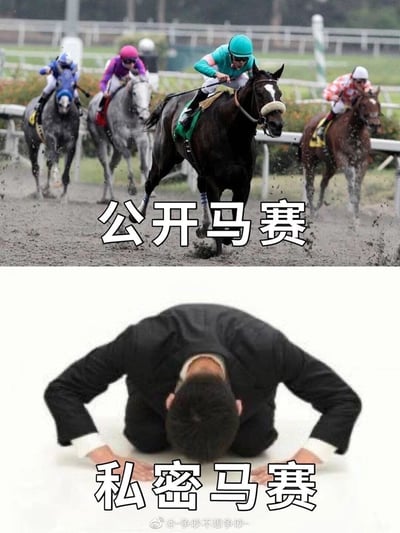 这是一张上下拼接的谐音梗趣味表情包，上半部分呈现的是真实的公开赛马比赛场景，数位骑手骑乘赛马在赛道上奔跑竞速，配文“公开马赛”；下半部分是一位身着黑色衣服的人跪地、额头贴地，身体伏在地面，配文“私密马赛”。该图利用谐音梗制造反差笑点，“私密马赛”是日语「すみません（对不起）」的中文空耳，将字面意义的公开赛马与表达歉意的空耳谐音做对比，形成搞笑的场景反差，可用于调侃公开竞赛与私下致歉的不同状态，或是以玩梗的方式表达歉意。