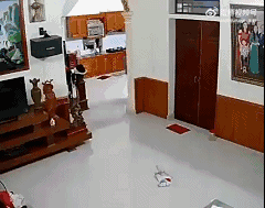 这是一段动态GIF，呈现了家庭客厅的场景：地面上有一张模仿物品打碎在地的贴纸，利用视觉错位效果看起来像是真的打碎了东西。后方的人看到后，露出惊讶的反应，以为真的出现了打碎物品的状况，制造出一场搞笑的整蛊乌龙，没有双关或谐音梗，纯靠视觉错位营造笑点。