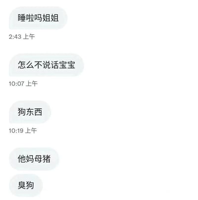 这是一张聊天记录截图，显示了从深夜到上午的对话内容。2:43上午发送“睡啦吗姐姐”，10:07上午发送“怎么不说话宝宝”，随后在10:19上午连续发送“狗东西”“他妈母猪”“臭狗”。对话语气从亲昵关心急转直下为辱骂，展现了情绪的剧烈转变。