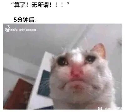 这是一张图文混排的情绪类表情包，上方配有文字“算了！无所谓！！！”，紧接着标注“5分钟后：”，下方是一只状态委屈的猫咪，它眼眶湿润，鼻子泛红，嘴角向下撇，呈现出即将哭泣的难过神态。图片通过文字和画面的前后对比，生动刻画了人们嘴上逞强说着不在意，实则内心非常在意，情绪很快就崩溃的真实状态，精准戳中很多人嘴硬心软、情绪藏不住的心理，常被用于在社交场景中表达自己事后后悔、委屈的情绪。