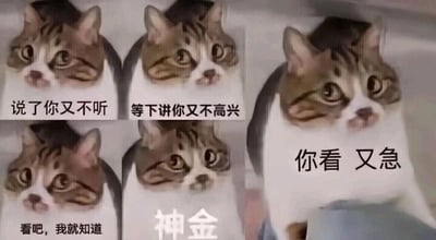 这是一组以mur猫形象为基础改编的多图拼接连环表情包，共由五张猫咪图片组成，每张图片搭配贴合日常沟通场景的吐槽文字，依次为“说了你又不听”“等下讲你又不高兴”“看吧，我就知道”“神金”“你看 又急”，其中“神金”是“神经”的谐音梗。整套表情包通过猫咪无奈、烦躁的神情，精准还原了日常沟通中那种“说了对方不听，不说对方又不满，沟通陷入死循环”的无奈场景，生动传达出沟通受阻时的无语、烦躁情绪，适合用来吐槽难以沟通的对象。